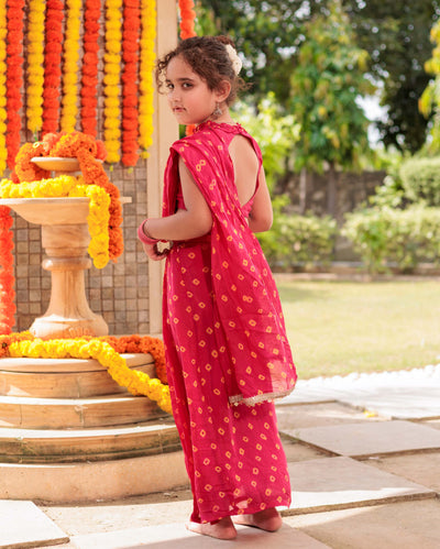 Twisted Bliss Pink Silk Draped Saree